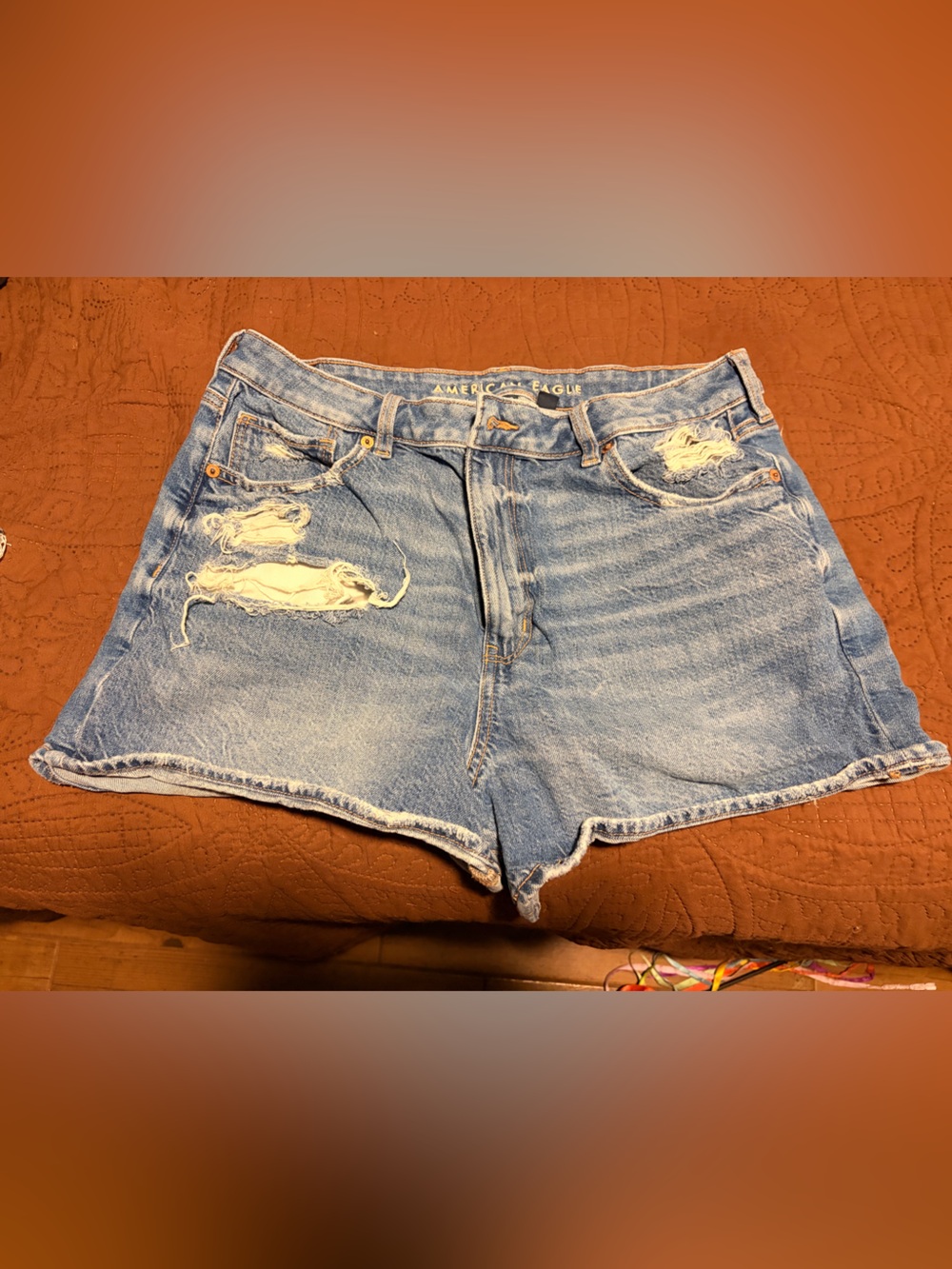 American Eagle Outfitters Light Wash Distressed Denim Shorts